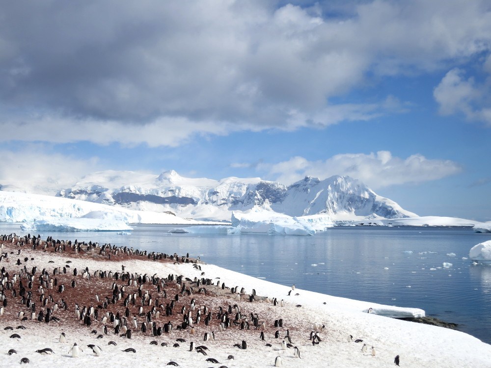 Heres Why You Should Visit Antarctica - CAA South Central Ontario