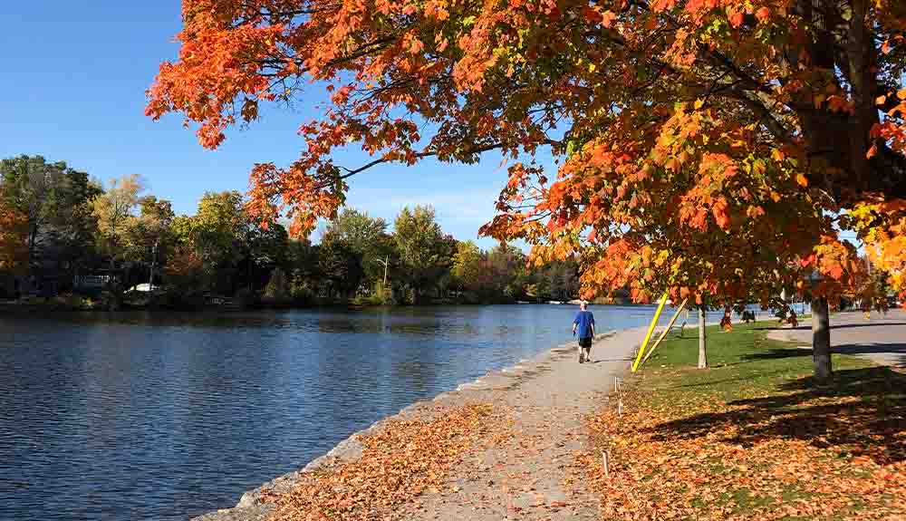 This lakeside drive will take you on a backroad tour of Ontario's fall  colours